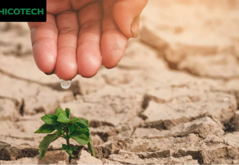 Dòng chất kích thích sinh học AgRHO® S-Boost™