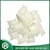 HB Fuller HL2198 X Pressure