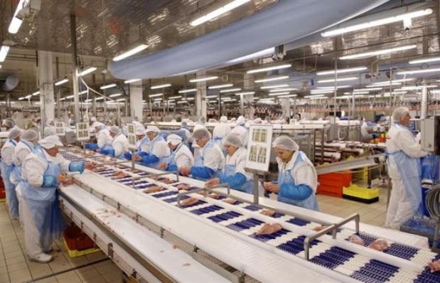 Kluberfood NH1 CH 6-120 SUPREME